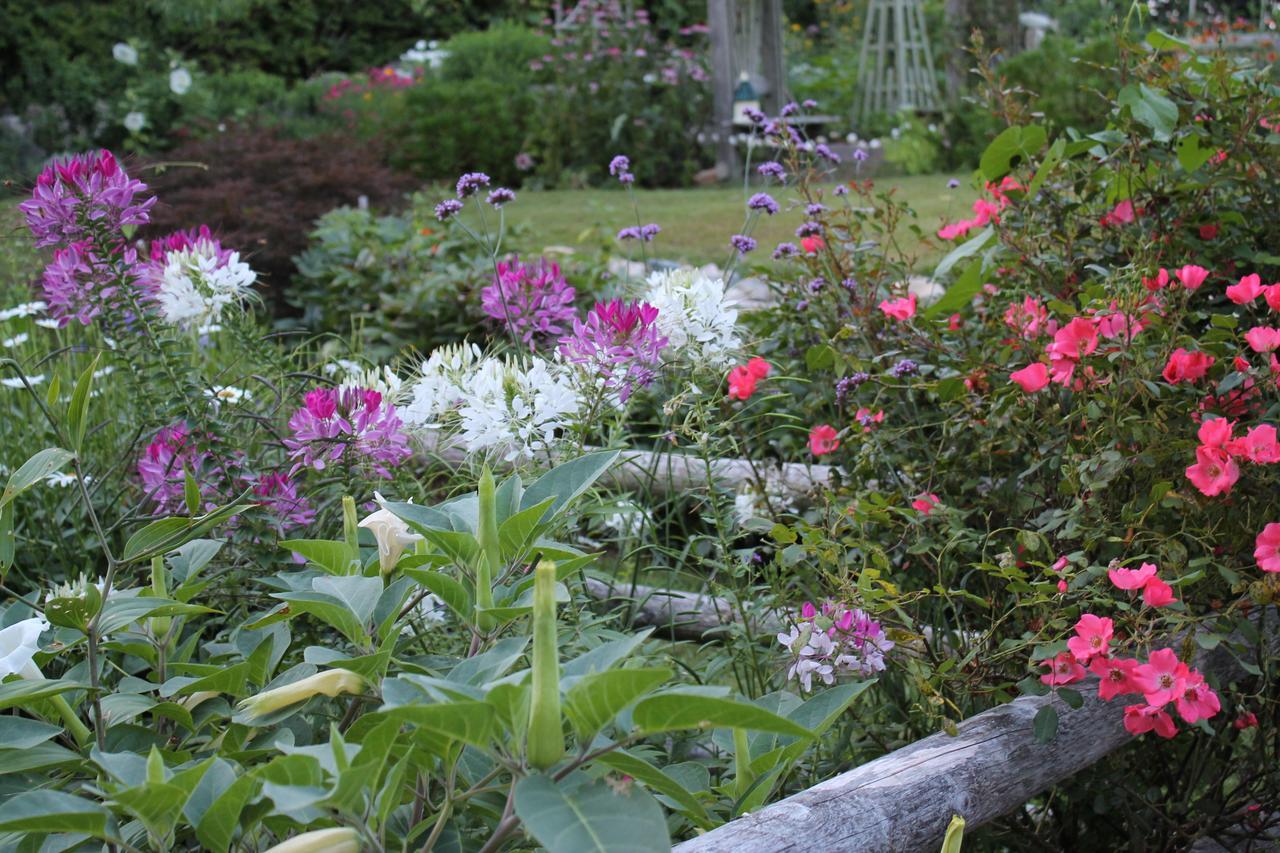 Lavender Bay Bed & Breakfast Barnstable Bagian luar foto