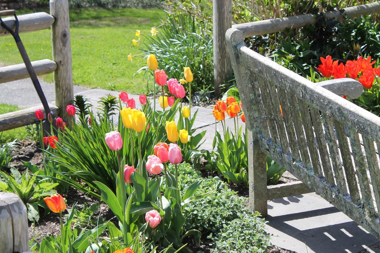 Lavender Bay Bed & Breakfast Barnstable Bagian luar foto