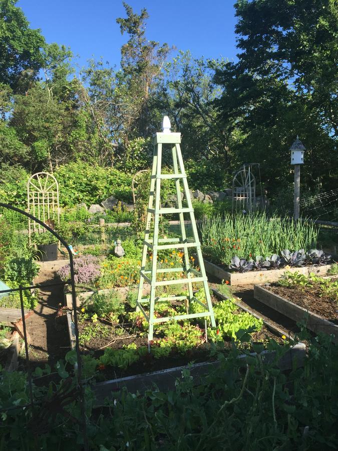 Lavender Bay Bed & Breakfast Barnstable Bagian luar foto